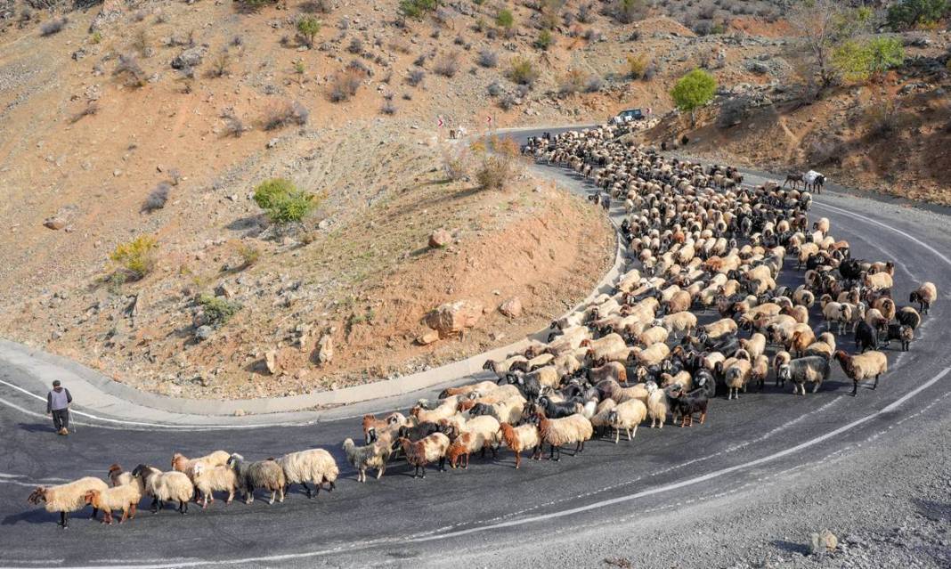 9 virajlı yolda Koçerlerin Diyarbakır’a dönüş yolculuğu 9
